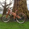 Bough Bikes: beautiful bespoke bicycles from The Netherlands, made mostly of wood!
