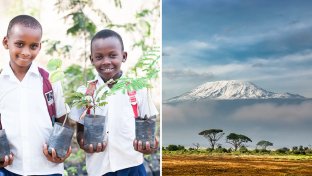 Tanzania to plant 50 Million Trees in Kilimanjaro