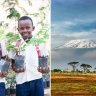 Tanzania to plant 50 Million Trees in Kilimanjaro