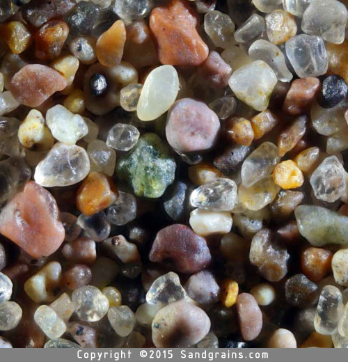 Colorado’s spectacular Great Sand Dunes are the highest sand dunes in North America at around 750 feet. This pretty sand contains a variety of sediments blown from the old flood plain of the Rio Grande River and sediments that have eroded from the nearby mountains. Minerals identifiable in this photograph include the clear quartz crystal (near center), the caramel-colored feldspar grain with the ninety-degree angles, and the two pink, angled-to-rounded garnet grains. Magnified 130 times.