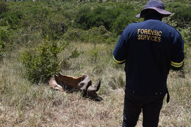 SAPS Forensic Services, Police Crime Scene Investigator and Sanpark investigative team at Western Boundary were a Rhino was shot and killed by poachers at the Kruger National Park, Mpumalanga, 3 February 2020.