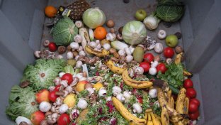 Spain’s government approves pioneering law against food waste