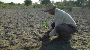 This man single handedly planted a forest in the middle of a barren wasteland in India