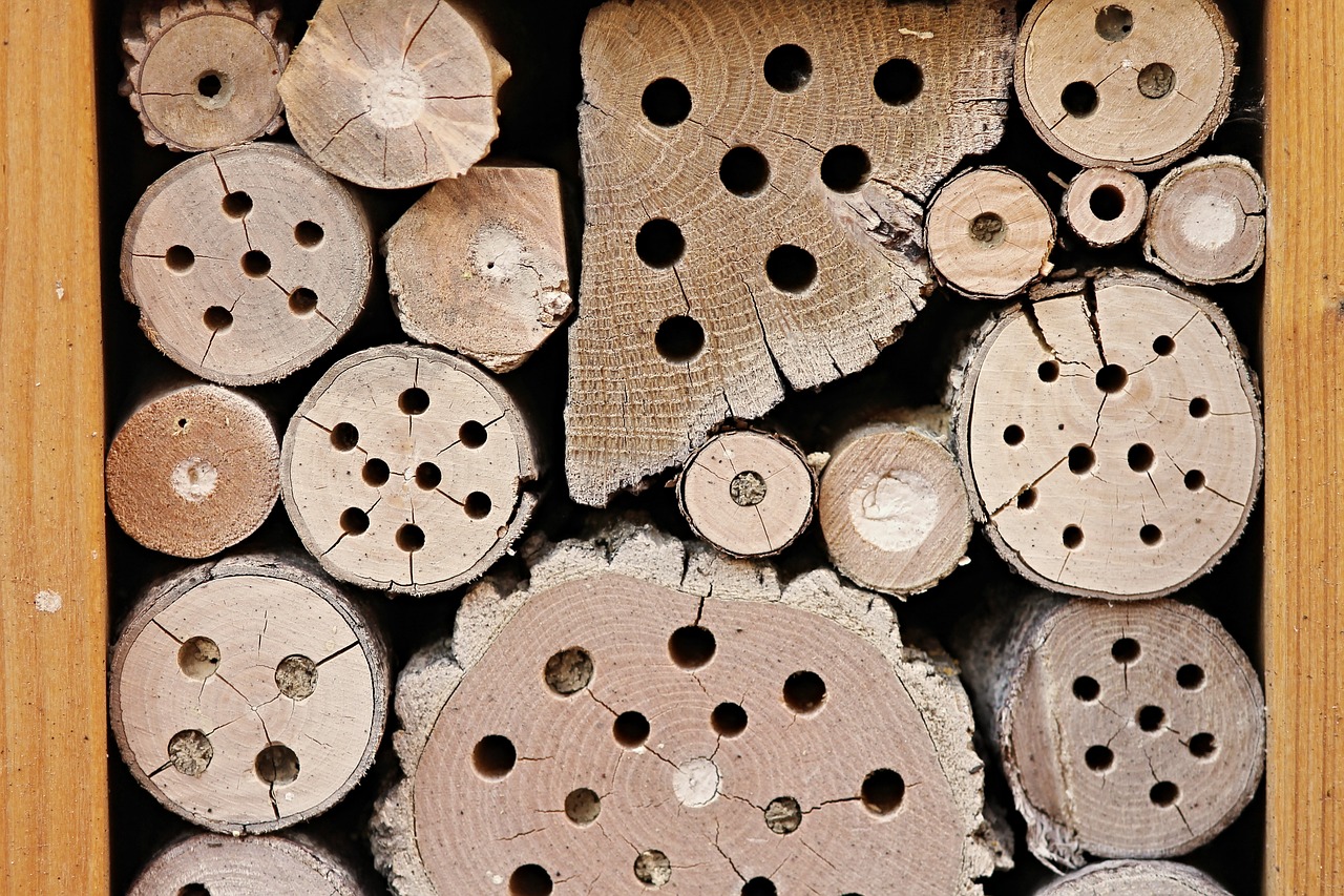 Create or buy a bee hotel to ensure bees have a safe place. 
Place it in a shady area near flowers.
