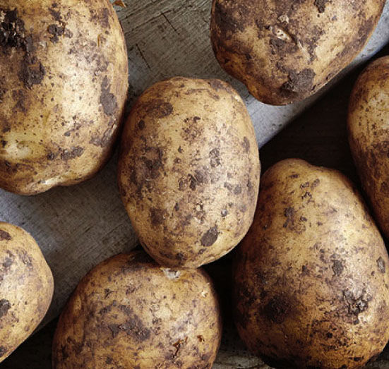 Just all-natural regular potatoes, CO2, heat, and pressure makes the first ever shelf-stable fry from farm to ketchup.