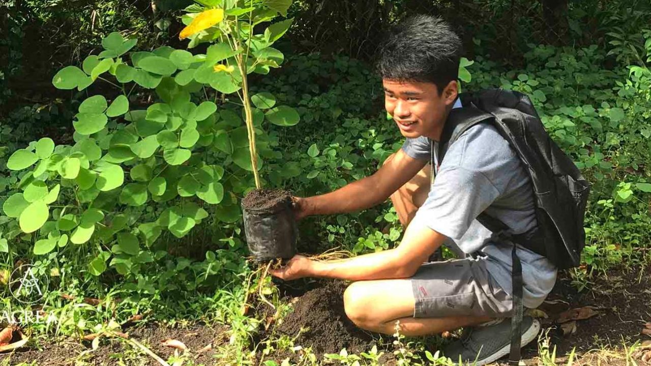Philippines passes law requiring students to plant 10 trees if they want to graduate