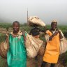 Rwanda’s biggest tea factory handed over to its farmers to help them earn more