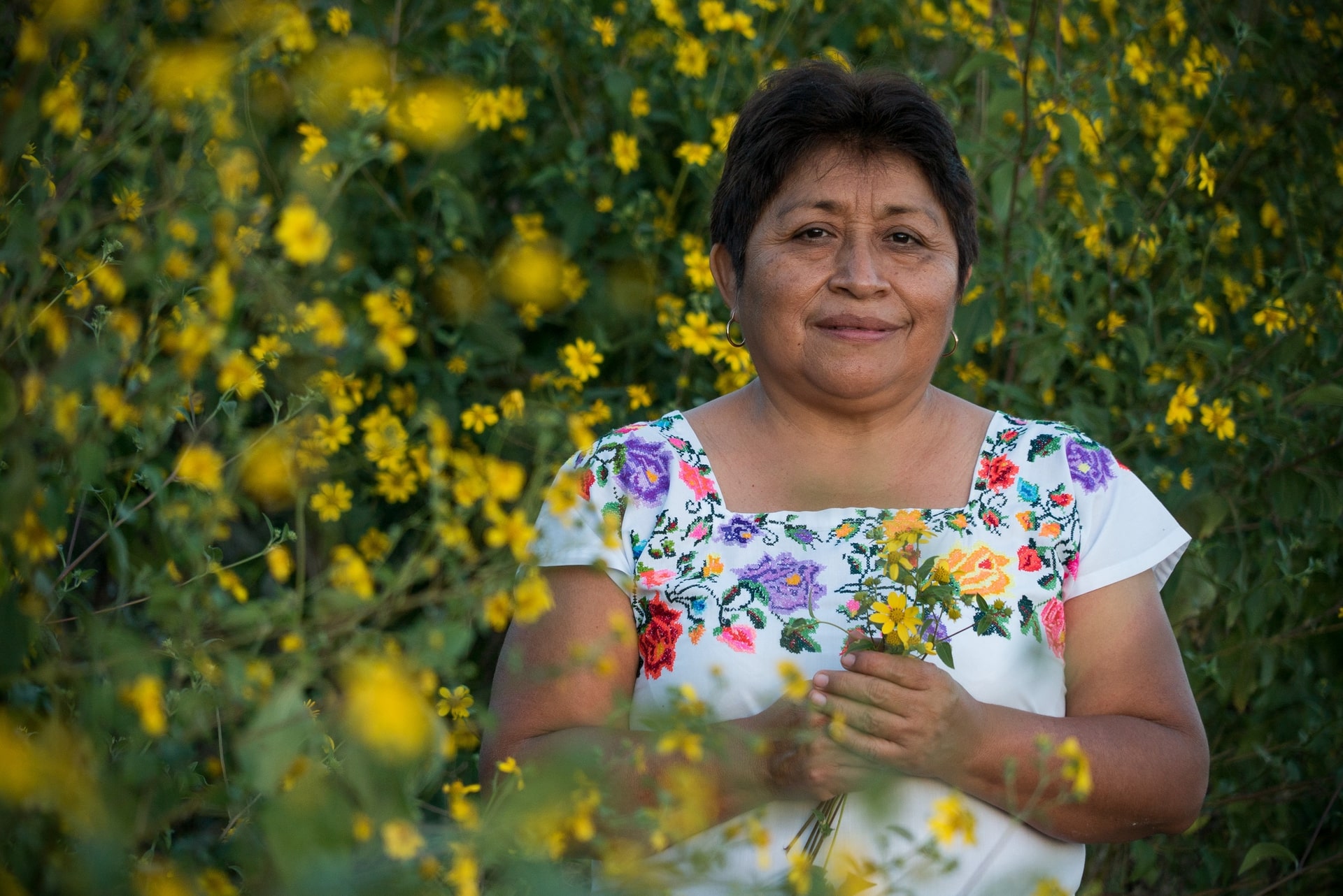 Leydy Pech is the indigenous Mayan beekeeper who led a coalition that successfully halted Monsanto’s planting of genetically modified soybeans in southern Mexico. Due to the relentless persistence of Pech and her coalition, in September 2017, Mexico’s Food and Agricultural Service revoked Monsanto’s permit to grow genetically modified soybeans in seven states. For this monumental feat of determination on behalf of her ancestral ecosystem, Leydy Pech was recently awarded the 2020 Goldman Environmental Prize for North America. Full story:?