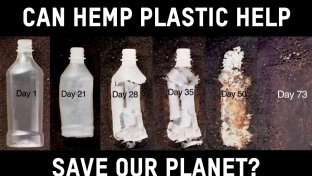 7 ways hemp plastic can help save our planet