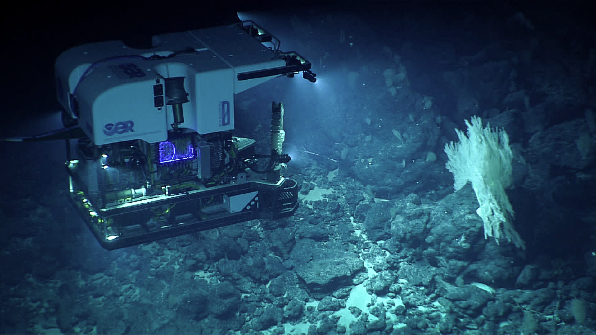 ROV Deep Discoverer documents the benthic communities at Paganini Seamount during the Deep-Sea Symphony: Exploring the Musicians Seamounts expedition.