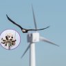 Research shows AI camera technology greatly reduces bird fatalities at wind farms