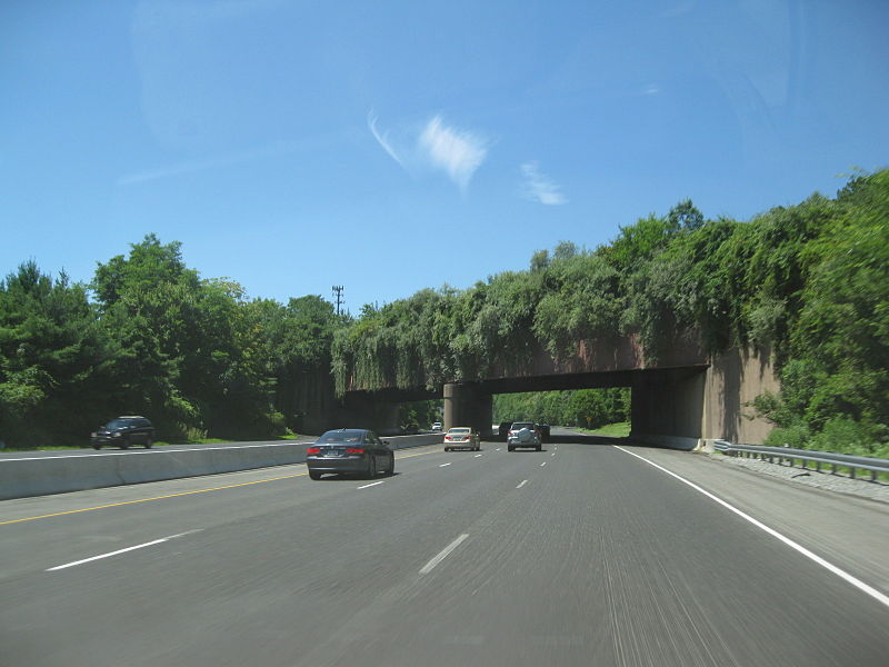 This wildlife crossing is probably the least aesthetically pleasing on the list, but it gets the job done. Spanning across Interstate 78 in New Jersey, this overgrown crossing keeps cars from striking animals and causing deadly wrecks.