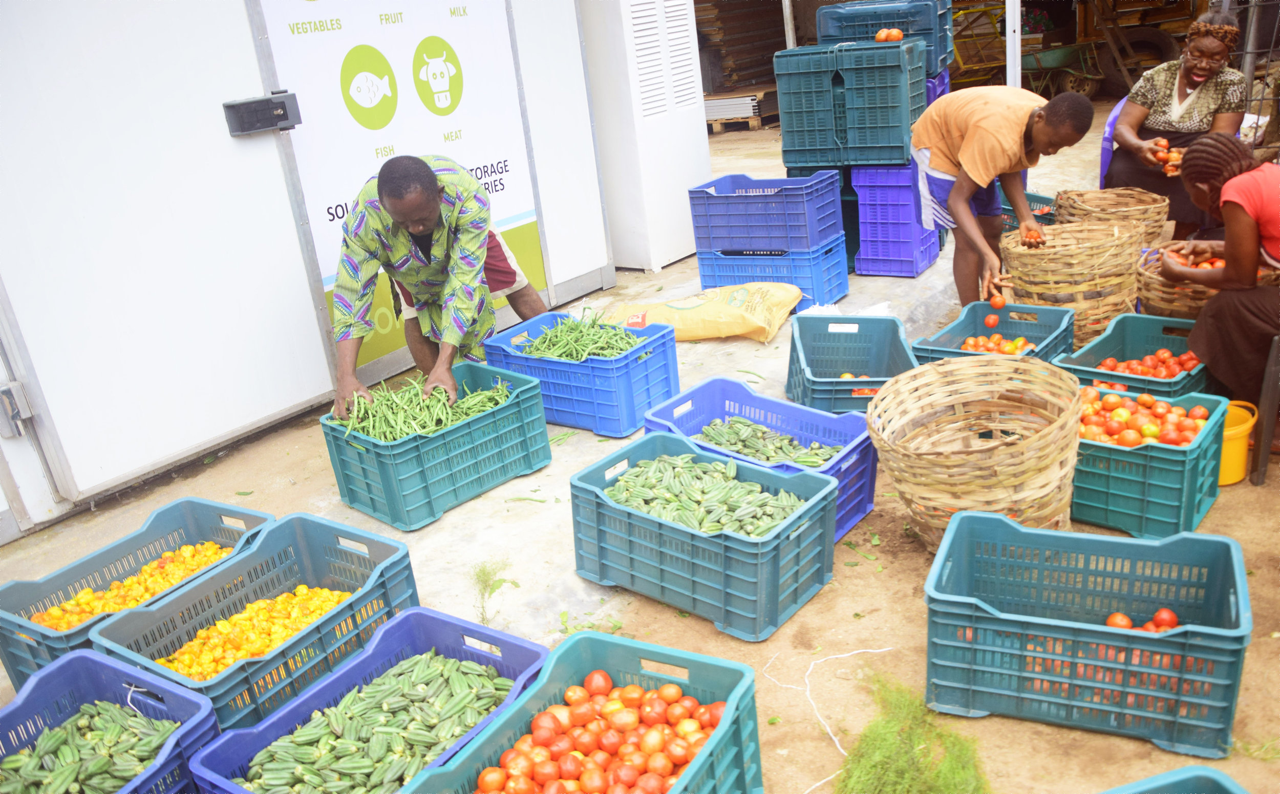 With more of their harvest to sell, smallholder farmers will be able to increase their annual income by 25%.