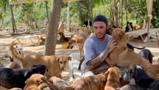 Animal Lover Brings 300 Dogs Into His House During Hurricane