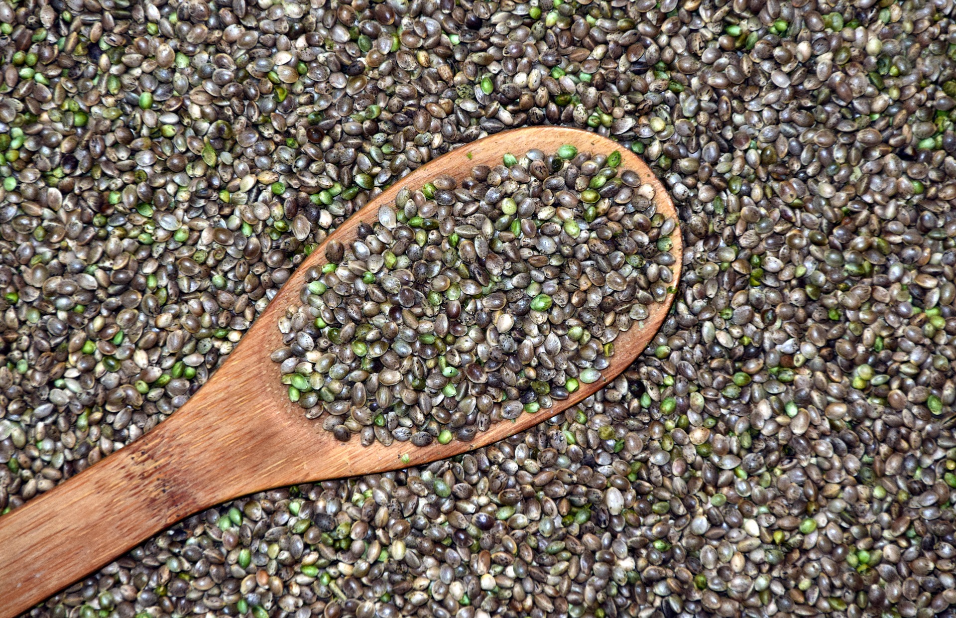 Hemp seeds contain up to 24% protein. Also, hemp seeds and oil contain Omega-3,6,9, other essential fatty acids and polyunsaturated fatty acids the body needs but cannot produce itself.