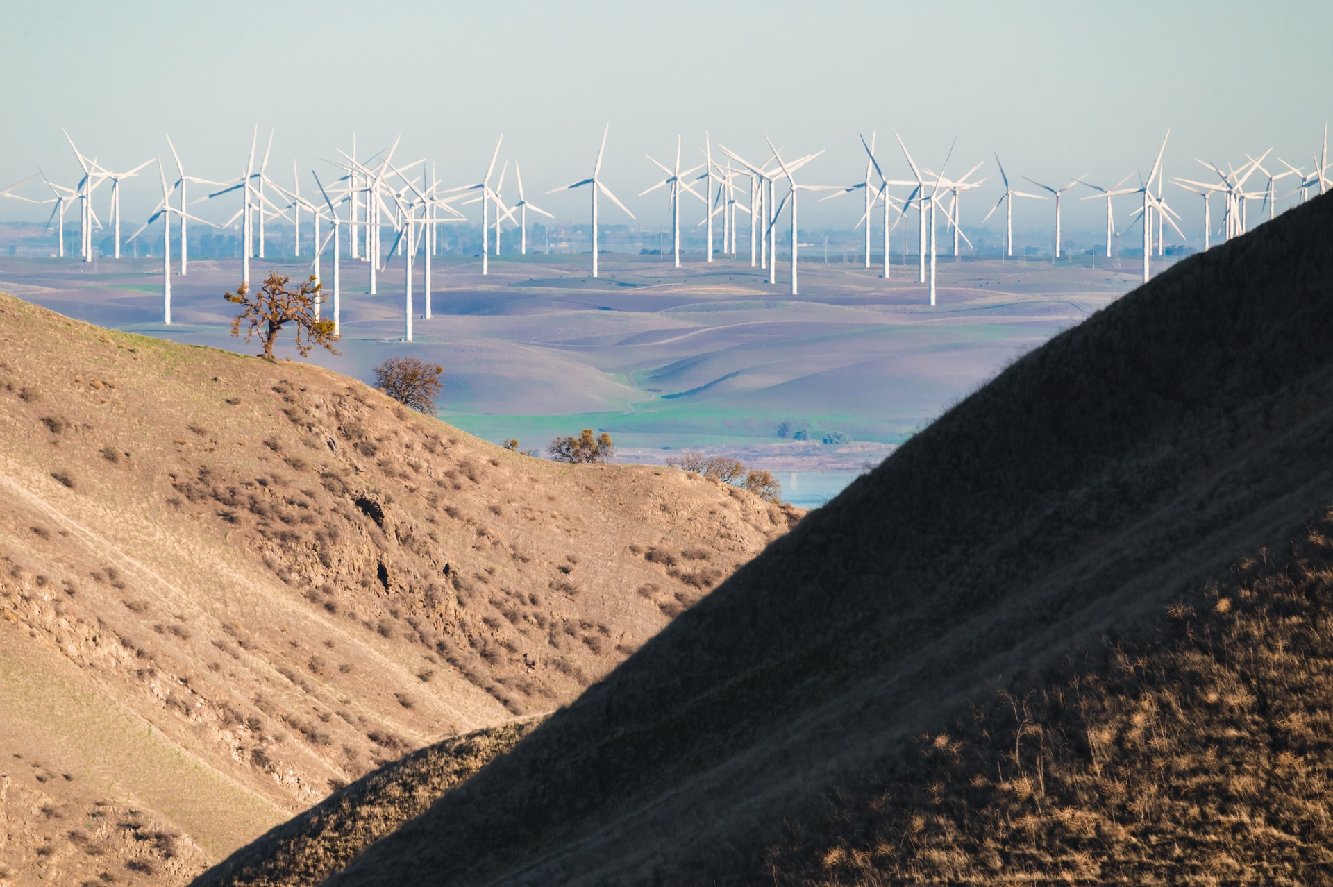 The US also set a major renewable energy milestone last month: wind power was the country's second-highest source of electricity, edging out nuclear and coal for the first time since the EIA began gathering the data. Read the full story ?