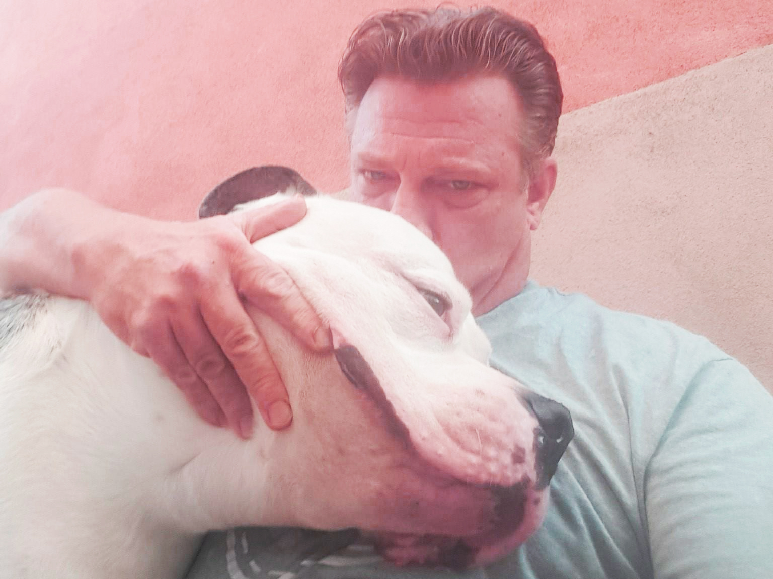 The Dogfather: ex-mafia enforcer turned animal rescue hero - BrightVibes