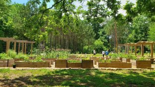 Atlanta creates first free food forest to fight food insecurity
