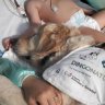 Estos perros rescatados prueban ser el mejor amigo del hombre para la recuperación de niños enfermos