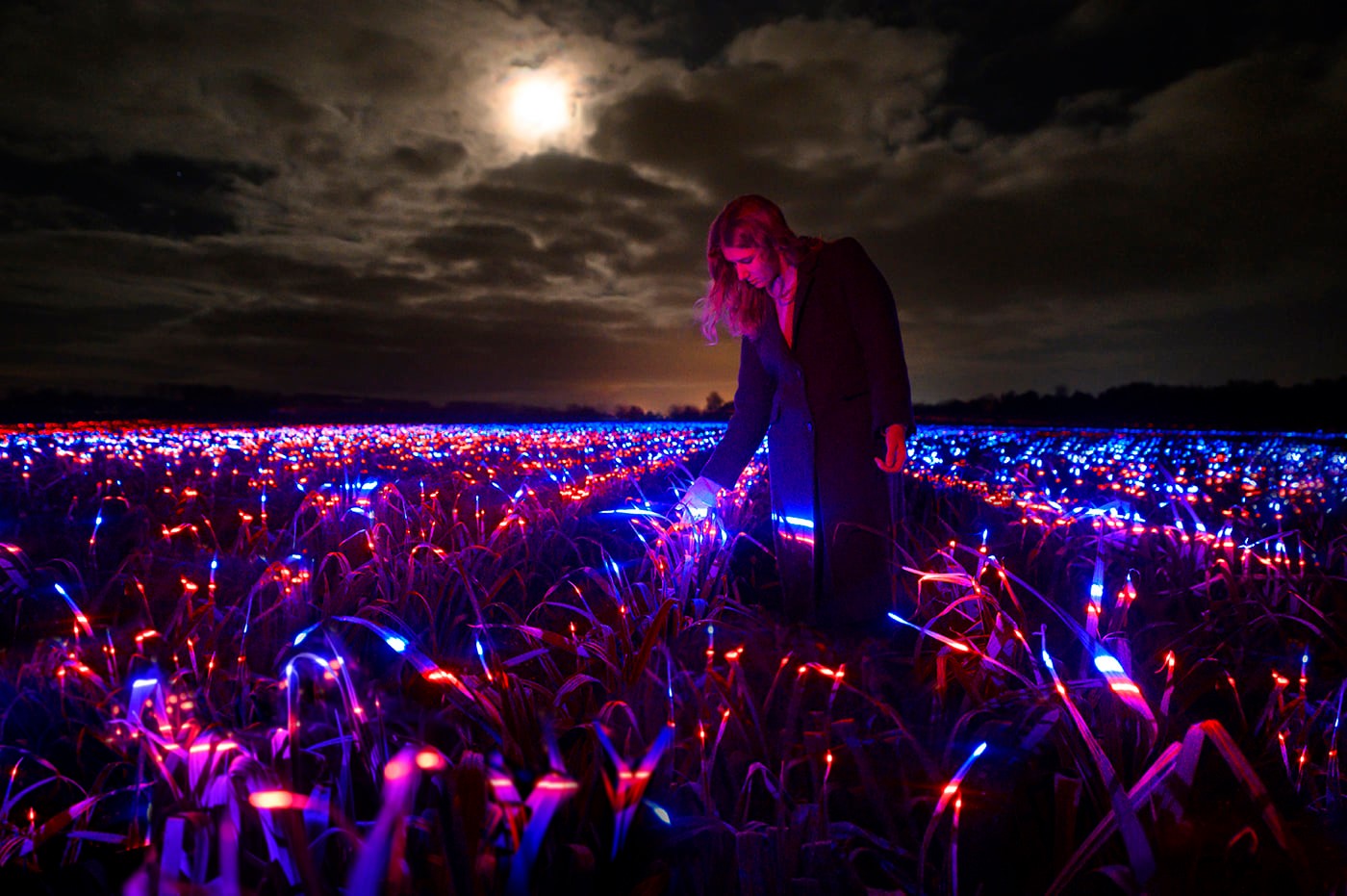 In the world film premiere GROW appears as a 20,000m2 luminous dreamscape of red and blue waves of light over an enormous field. GROW is inspired by scientific light recipes which improve plants’ growth and resilience.