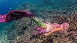 Discover how real life Mermaid who swims with sharks, whales &#038; dolphins is trying to save our oceans