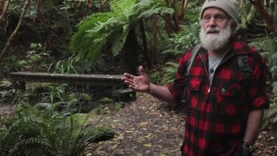 Conoce al hombre que ha pasado los últimos 30 años reforestando un rincón de Nueva Zelanda