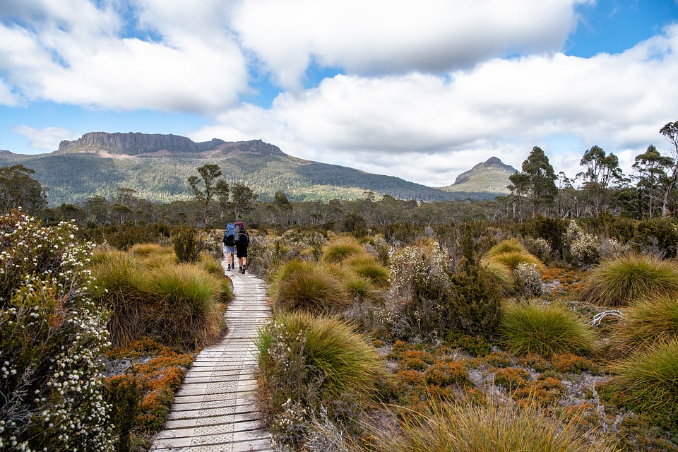 Sin embargo, con el crecimiento de la energía eólica en el estado, Tasmania redujo su dependencia de los combustibles fósiles, y ahora puede satisfacer todas sus necesidades con fuentes renovables.