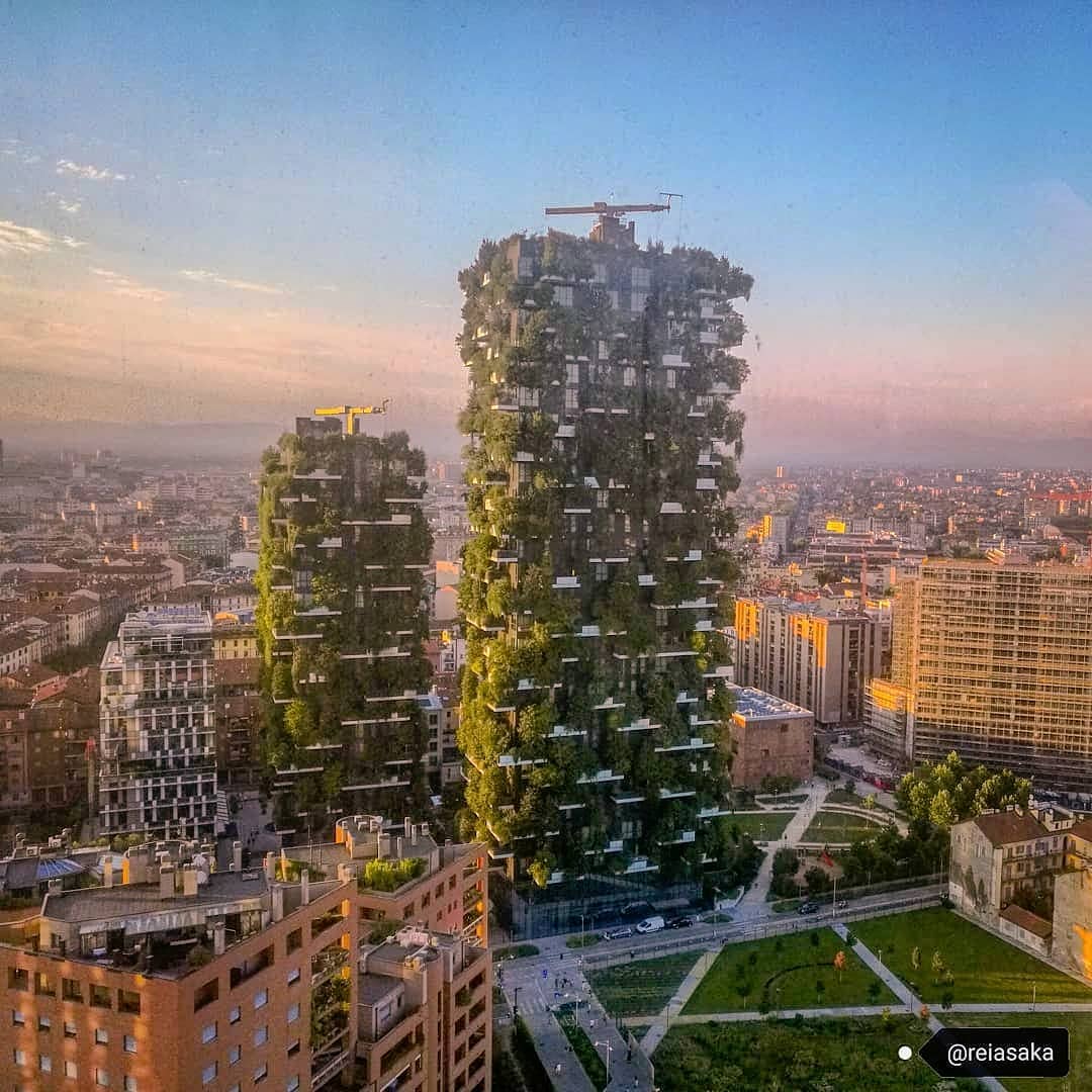 The first example of the Vertical Forest consisting of two residential towers of 110 and 76 m height, was realised in the centre of Milan, on the edge of the Isola neighbourhood, hosting 800 trees (each measuring 3, 6 or 9 meters), 4,500 shrubs and 15,000 plants from a wide range of shrubs and floral plants distributed according to the sun exposure of the facade.