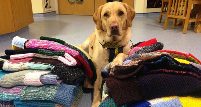 Dona mantas y abrigos tres veces al año y cada vez, con la ayuda de su familia, trae más de una docena de artículos hechos a mano para los cachorros.