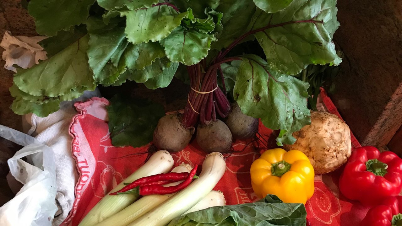 Study Finds That People Are Eating Healthier and Wasting Less Food ...
