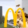 Sweden‘s McDonald’s are creating a buzz by converting billboards into bee hotels
