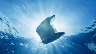 The blue planet effect: how a tv show is altering a nation’s perceptions of plastic