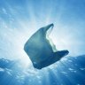 The blue planet effect: how a tv show is altering a nation’s perceptions of plastic