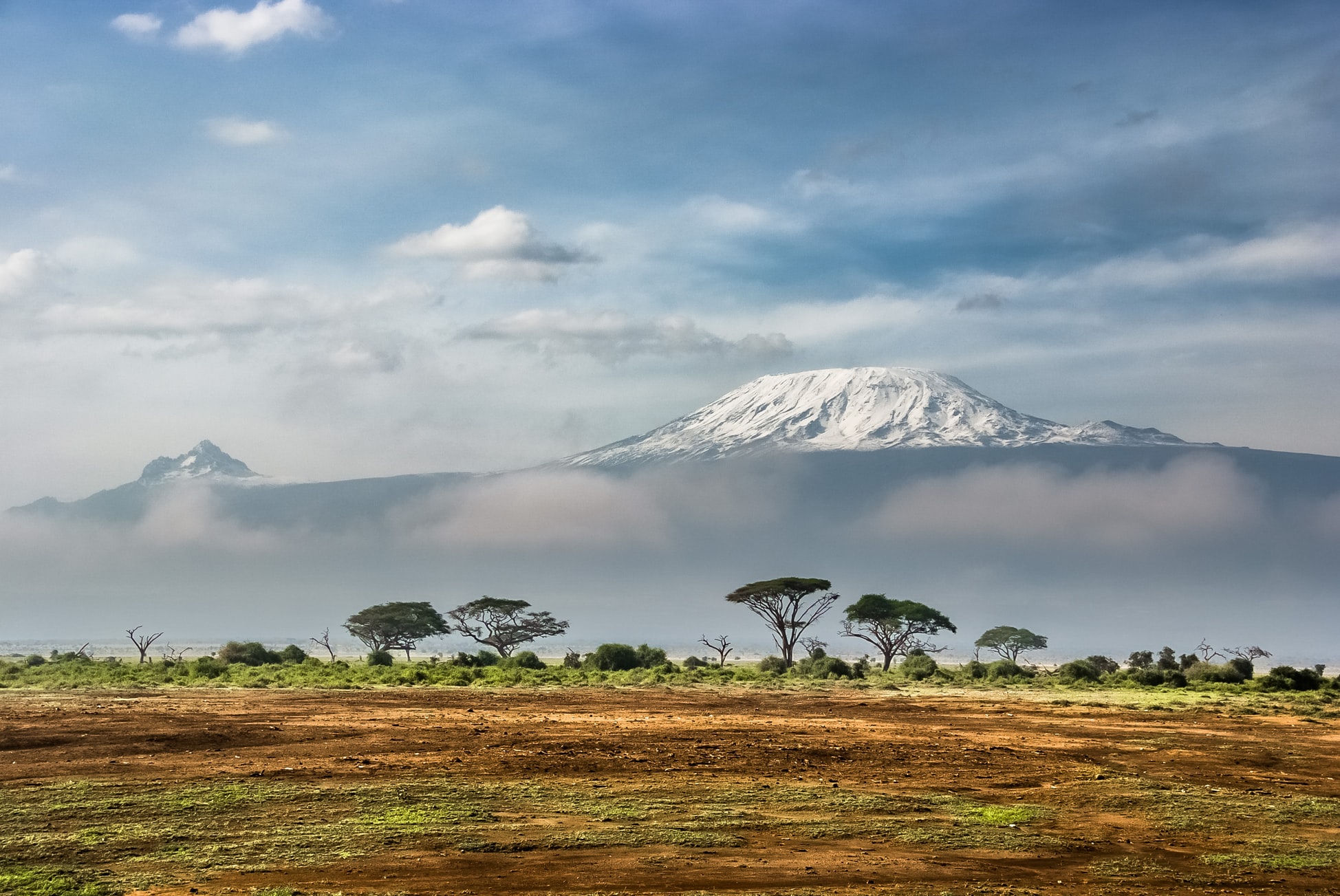 90% of local people depend upon firewood for cooking. This accounts for the equivalent of over 7 million trees cut per year in the Kilimanjaro Region alone. Scientists believe that the glaciers on Mt. Kilimanjaro have decreased by 85% since 1917, and may be completely gone within the next 40 years.