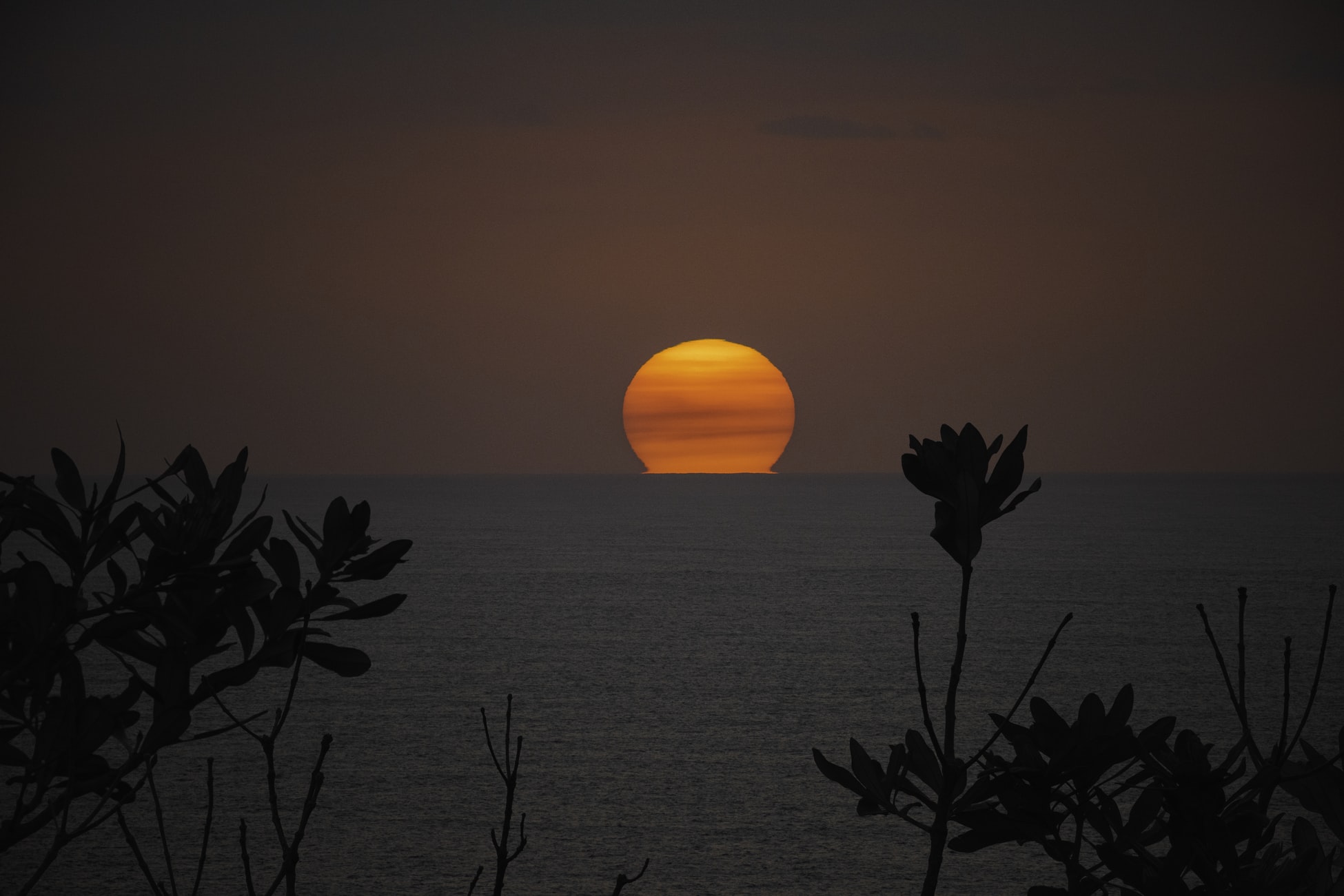 Thick smoke from the East Coast bushfires in Australia have enabled photographing the rising sun as though it was the moon. This photo taken in thick heathland bush at trial Bay NSW shows the sun rising out of the ocean coloured by bush/wild fire smoke.