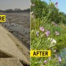 &#8216;Eco-berms&#8217; replace concrete to boost riverbank biodiversity near German hydropower stations