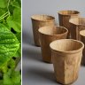 These 100 per cent biodegradable cups are grown from plants