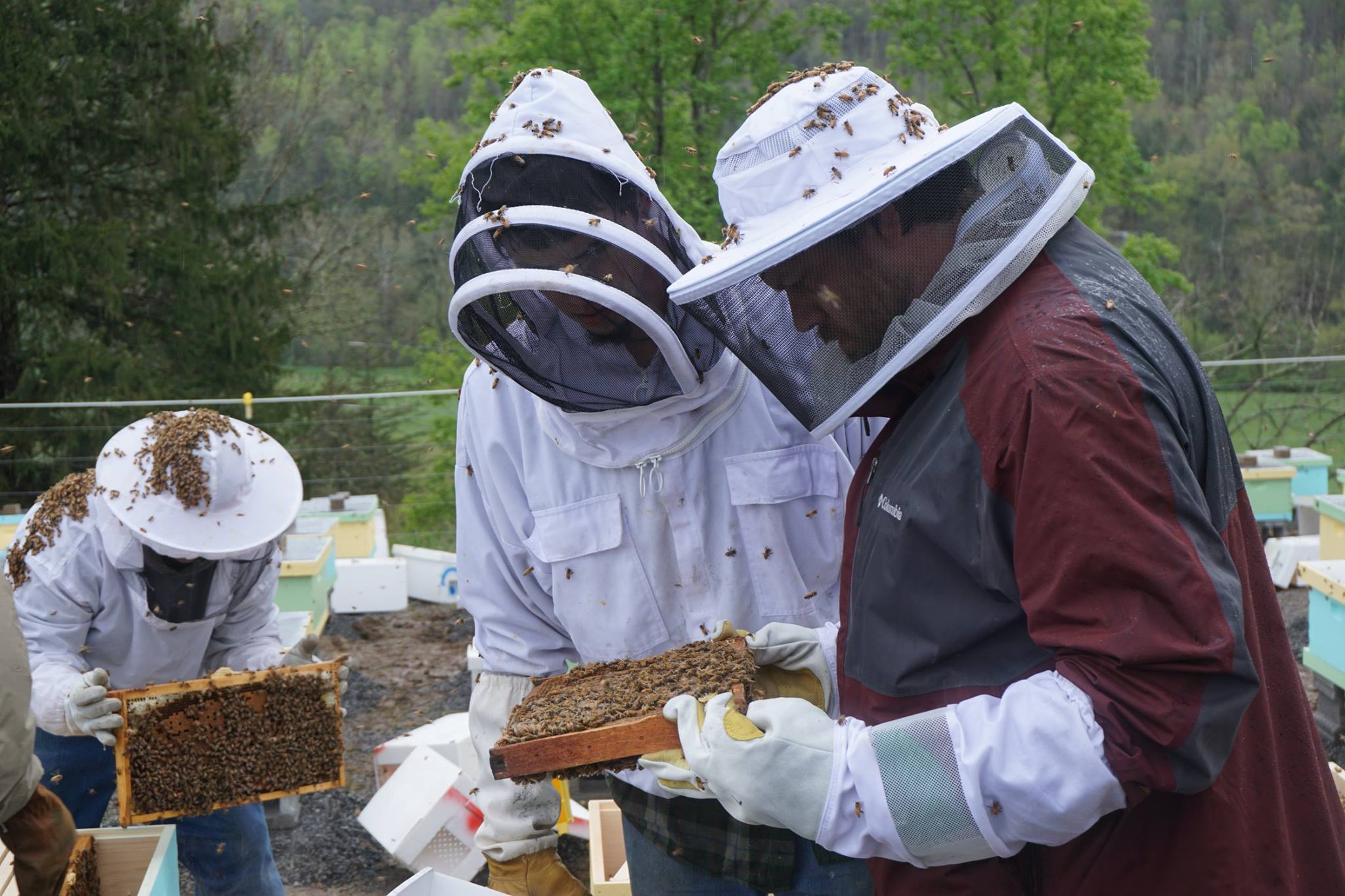 Beekeeping can be a great way to earn a sustainable living in rural areas, but the start-up costs and learning curve can be steep. Their program provides the materials and support necessary to overcome the considerable barriers to getting started. ABC keep the continued costs of operating low through collective processing and marketing.