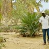 Permaculture master grows lush green oasis in the Senegal desert
