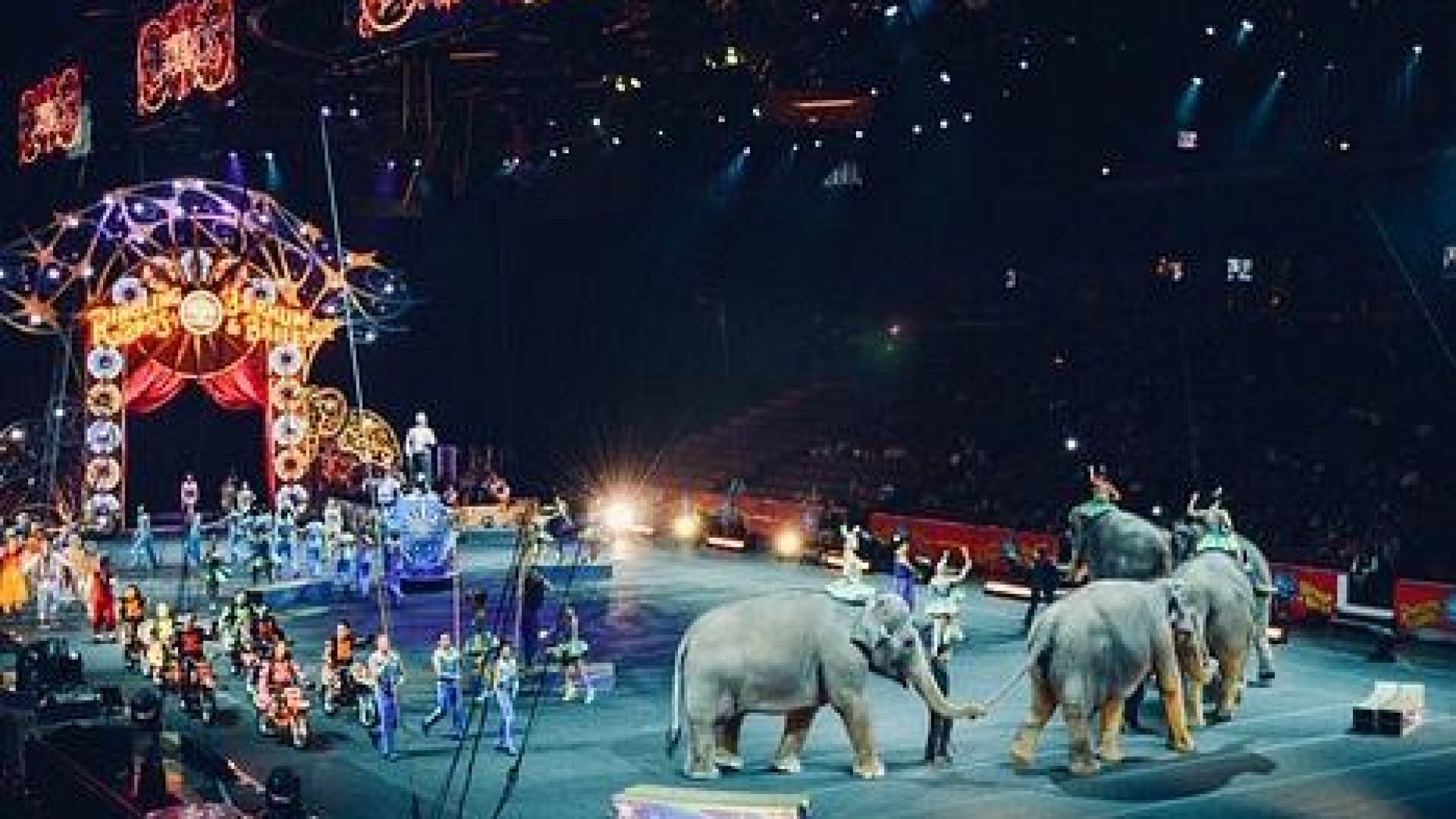 UK to Ban Wild Animals’ Performances In Circuses BrightVibes