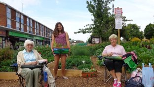 Incredible Edible: one English town’s edible landscape scheme takes root worldwide