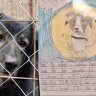 How handwritten pleas by school kids helped unwanted shelter dogs find forever homes