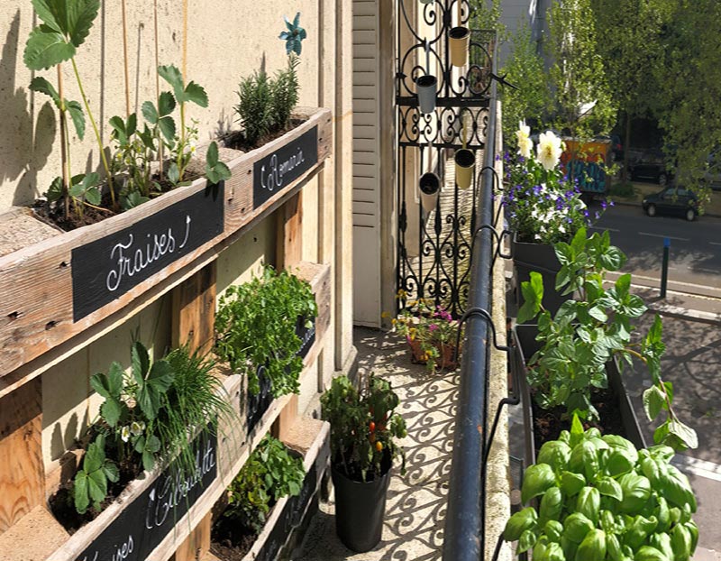 The French capital has already set a target to increase the amount of green space in the city by 100,000 hectares by 2020. There is an aim that a third of these new spaces will be devoted to urban agriculture. To help the administration to reach this target, ‘citizen-gardeners’ are being encouraged to plant up the smaller spaces in the city.
