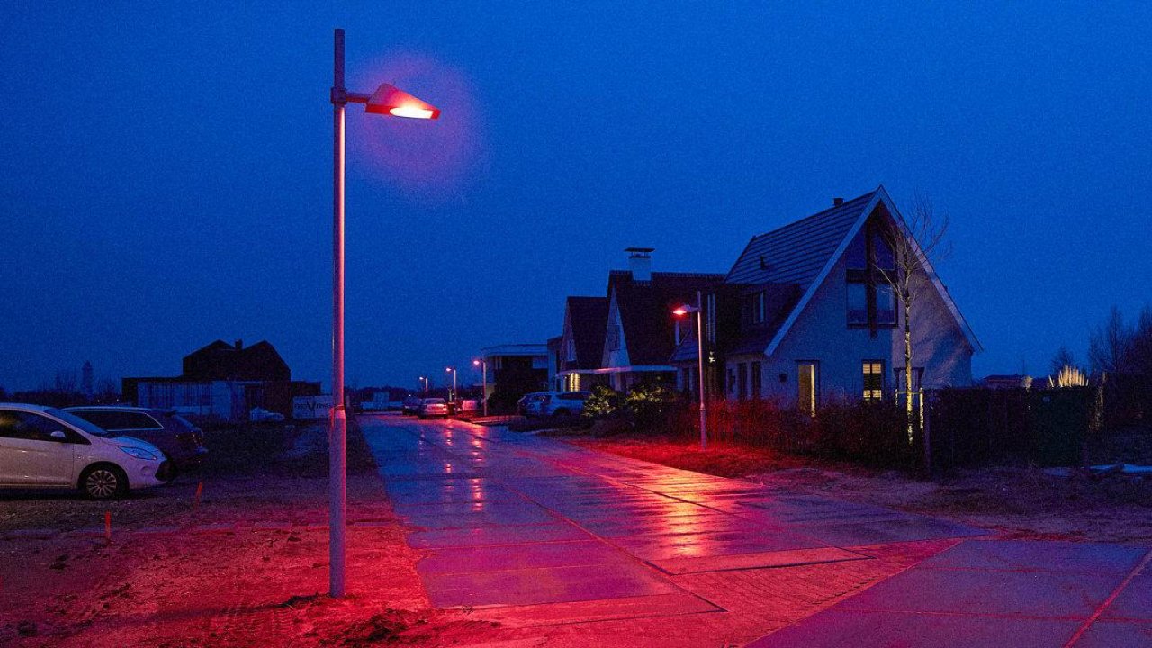 Bat-friendly Dutch district paints the town red every night