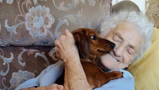 See the transformation in this Alzheimer&#8217;s Grandma when a borrowed dog comes to visit