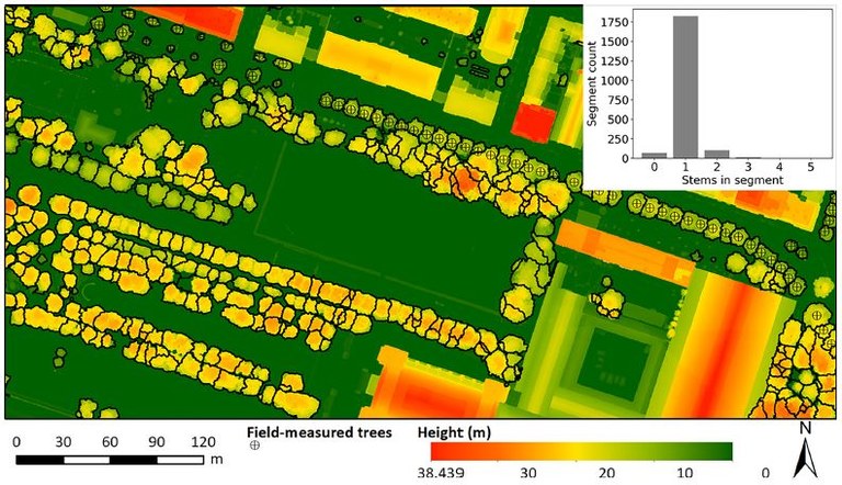 Tree height, crown base height, and crown volume were derived from the normalised LiDAR point cloud for each tree.  Subset of individual tree delineation results and LiDAR canopy height model and accuracy of individual tree segmentation. Note: LiDAR, airborne light detection and ranging.