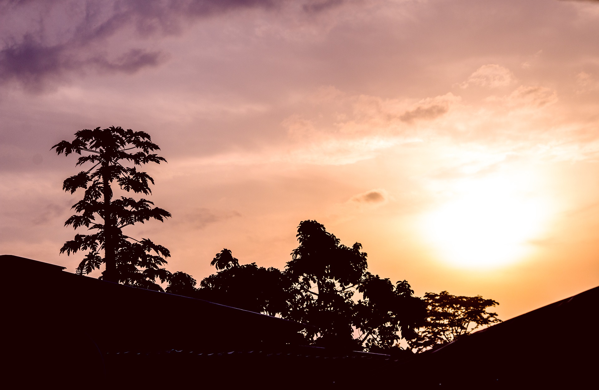 Forest spans over 88% of its territory, and deforestation rates have been consistently low (less than 0.08%) since 1990.