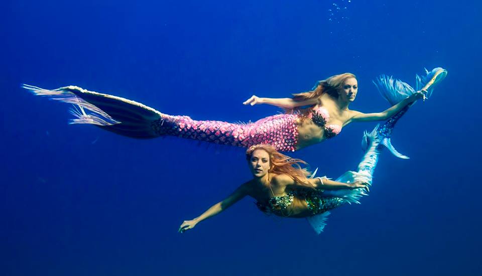 Hannah Mermaid en Mermaid Kariel gebruiken allebei de 'FINIS Competitor Monofin' als de staart waarop ze hun uitgebreide vinnen creëren. Hannah en Kariel sluiten zich aan bij het FINIS team om bewustzijn te verspreiden door middel van hun fitness training, behoud van natuurlijke bronnen en onderwater fotografie.