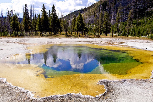 The natural conditions found in geothermal features such as hot springs are difficult to replicate in laboratory settings, so WSU researchers developed a new strategy to enrich heat-loving bacteria in their natural environment.