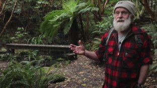 Meet the kiwi who&#8217;s spent over 30 years reforesting a corner of New Zealand